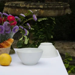 Best Bol En Porcelaine De Limoges Art De La Table